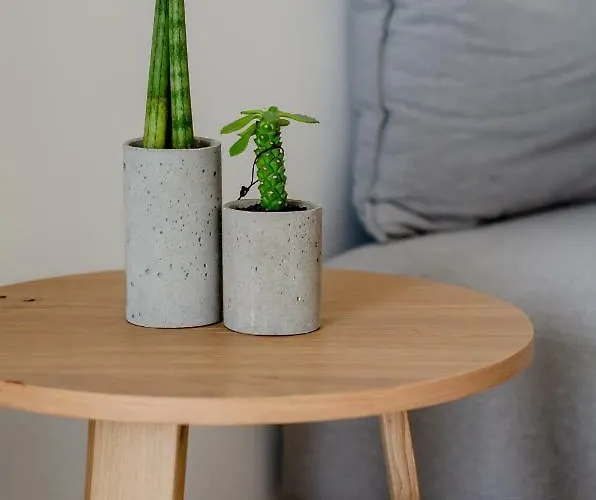 Messinian Icon & 5* Calamata